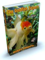 The Goldfish Expert